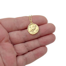 Load image into Gallery viewer, Owl wax seal coin necklace