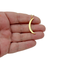 Load image into Gallery viewer, Delicate horn necklace