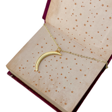 Load image into Gallery viewer, Delicate horn necklace