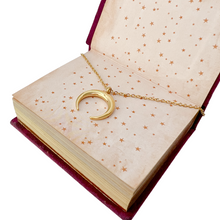 Load image into Gallery viewer, Double horn necklace