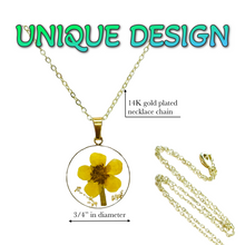 Load image into Gallery viewer, Narcissus pressed flower necklace gold plated birth month flower jewelry for women