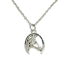 Load image into Gallery viewer, Horse necklace horseshoe pendant