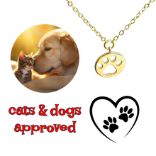 Load image into Gallery viewer, Paw print necklace gold plated dog or cat coin jewelry