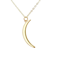 Load image into Gallery viewer, Delicate horn necklace