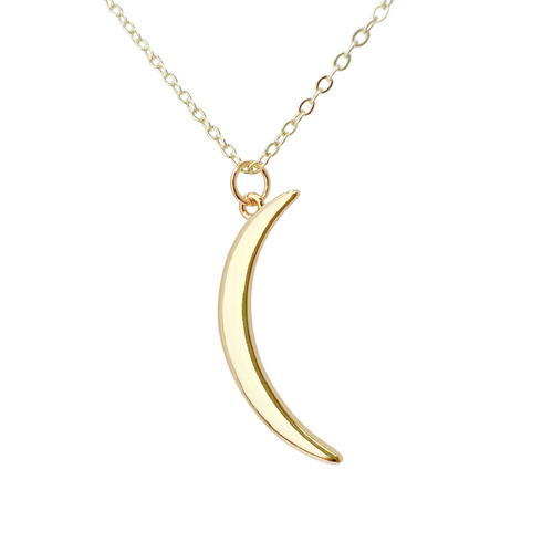 Delicate horn necklace