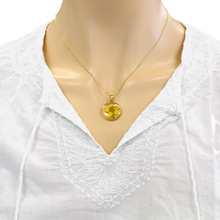 Load image into Gallery viewer, Narcissus pressed flower necklace gold plated birth month flower jewelry for women